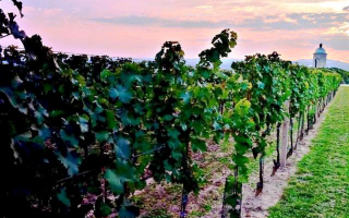 Župne obavijesti za XXVI nedjelju kroz godinu A