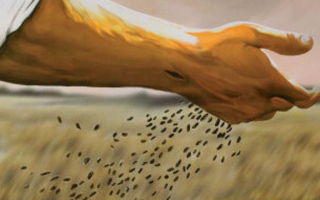 Župne obavijesti za XI nedjelju kroz godinu